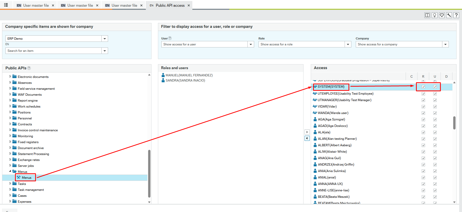 ERP CR Public API access for SYSTEM role