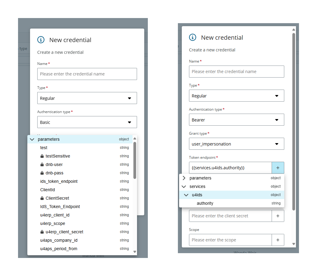 Parameters in credentials